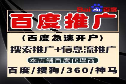 百度SEO推广实战：行业领先企业的成功之道